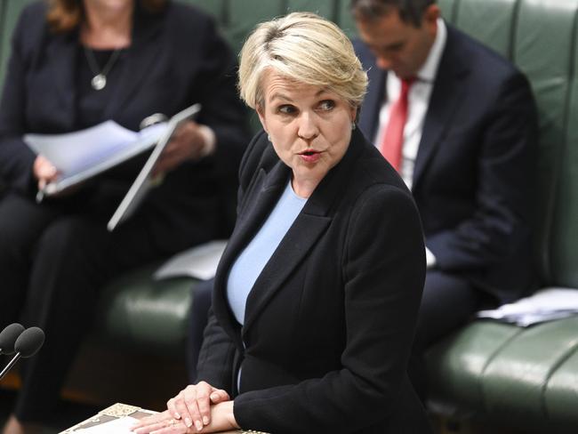 CANBERRA, AUSTRALIA, NewsWire Photos. DECEMBER 7, 2023: Minister for Environment and Water Tanya Plibersek during Question Time at Parliament House in Canberra. Picture: NCA NewsWire / Martin Ollman