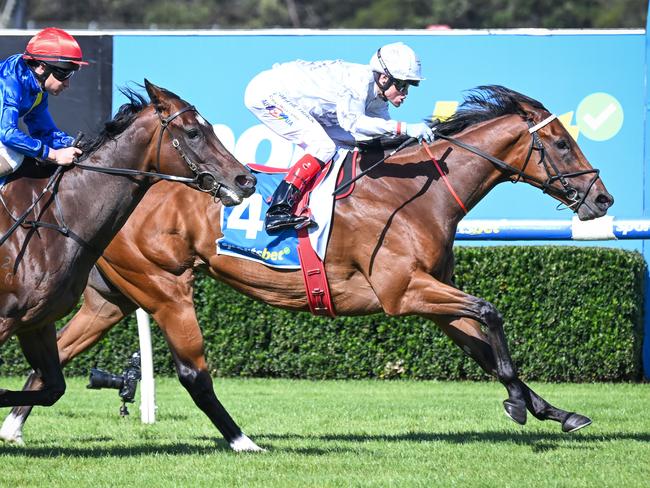 Our Queen (IRE) will shoot for her third straight win when the imported mare heads to The Valley on Friday night. Picture Racing Photos via Getty Images.