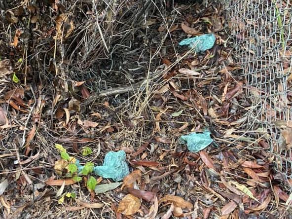 Bags of dog poo found along a popular walking spot near Arundel Drive in Arundel.