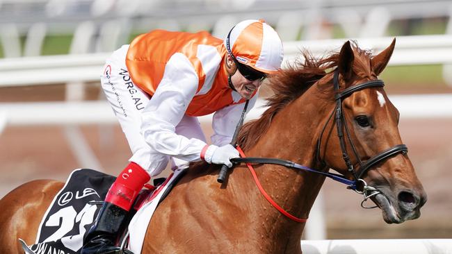 Jockey Craig Williams rides Vow And Declare to victory in race 7, the Lexus Melbourne Cup, during Melbourne Cup the Lexus Melbourne Day, at Flemington Racecourse in Melbourne, Tuesday, November 5, 2019. (AAP Image/Michael Dodge)