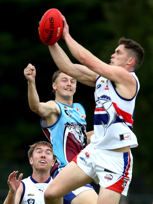 Football BFL: Modewarre v Queenscliff. Queenscliff 23 Nick Maishman marks over Modewarre 40 Declan Prigg Picture: Mark Wilson