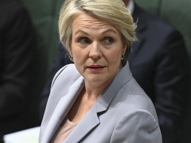 CANBERRA, Australia, NewsWire Photos. June 6, 2024: Minister for the Environment and Water Tanya Plibersek during Question Time at Parliament House in Canberra. Picture: NewsWire / Martin Ollman