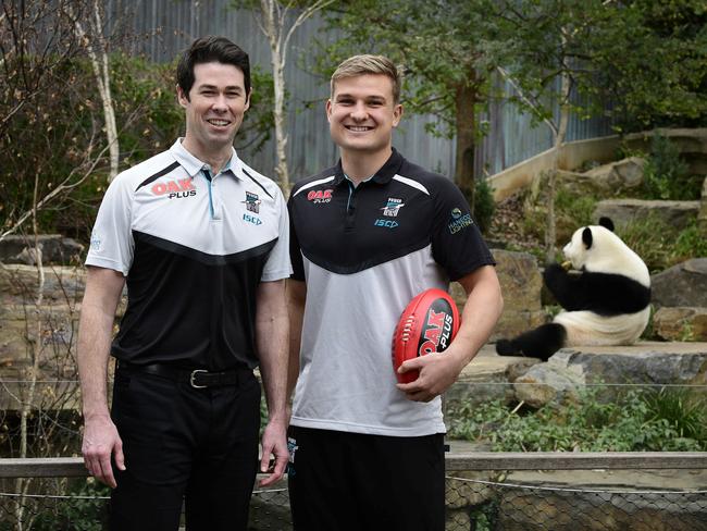 20.8.18- Port Adelaide Football Club's China manager Andrew Hunter and player Ollie Wines with giant panda Fu Ni, at Adelaide Zoo.  Port Adelaide has won Federal funding to take its Power Footy program to more Chinese schools (Sichuan this time). Picture: Bianca De Marchi