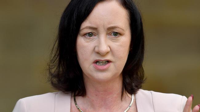 BRISBANE, AUSTRALIA - NewsWire Photos JANUARY 17, 2022:Health Minister Yvette D'Ath talks at a press conference at the Speakers Green, Parliament House.  Picture: NCA NewsWire / John Gass