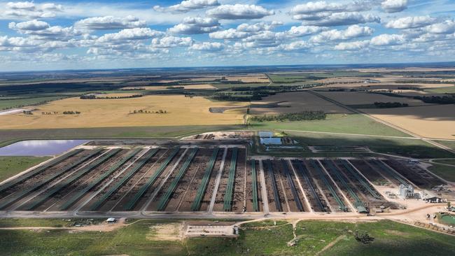 Arubial Wagyu and Lillyvale Feedlot at Condamine, Queensland, owned by Laird and Sonia Morgan.