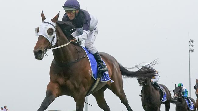 Tavidance appreciated the wider Pakenham circuit. Picture: Racing Photos