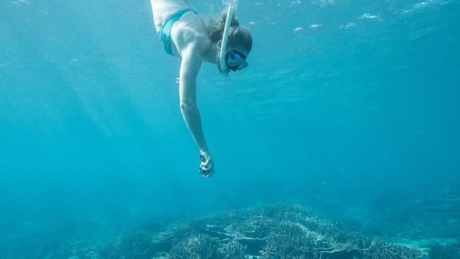 The reef brings in $6.4 billion from tourism every year. Picture: Mark Kolbe/Getty Images for Tourism Queensland