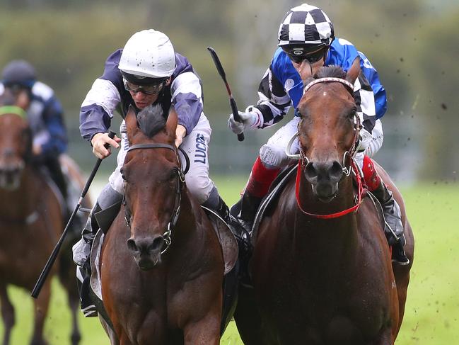 Big Duke ridden by Craig Williams (right) runs alongside Our Century ridden by Ben Melham in the closing straight during the Irresistible Pools & Spas N E Manion Cup race during Golden Slipper Day at Rosehill Racecourse in Sydney, Saturday, March 18, 2017. (AAP Image/David Moir) NO ARCHIVING, EDITORIAL USE ONLY