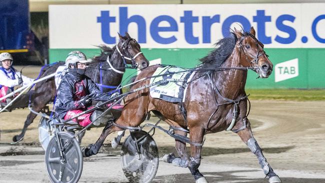 The battle for the West Australian TAB is pitting Tabcorp against Entain, which runs the Ladbrokes and Neds businesses in Australia. Picture: Stuart McCormick