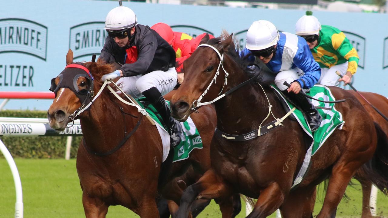 Swagger (left) looks a great chance on the wet track at Narrandera on Sunday. Picture: Grant Guy