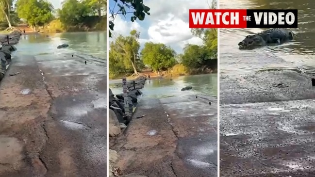 Croc tries to take back dinner at Cahills Crossing