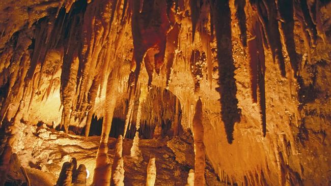 Yarrangobilly Caves, Snowy Mountains guided tours | escape.com.au