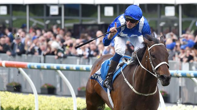 Winx was in a different postcode in last year’s Cox Plate. Picture: Nicole Garmston