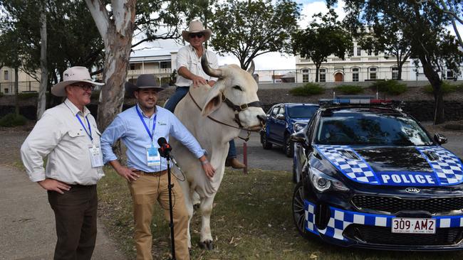 Beef Australia CEO Ian Mill and Beef Australia Chair Bryce Camm with John Hawkes and Ollie at the Rockhampton riverbank on Sunday, May 2. Picture: Aden Stokes