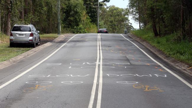 Bonogin Road. Picture: Richard Gosling