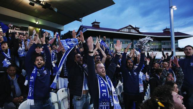 South Melbourne fans show their support at Lakeside Stadium. Pic: Getty Images