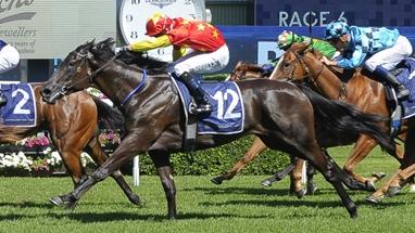 Autumn Bloom an kick off her three-year-old campaign with a win at Hawkesbury on Thursday. Picture: Bradley Photos.
