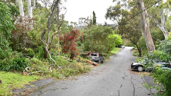 Storm damage along Keith Rd at Blackwood. Picture: Keryn Stevens