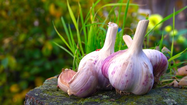 Does eating garlic really mess with one’s sleep?