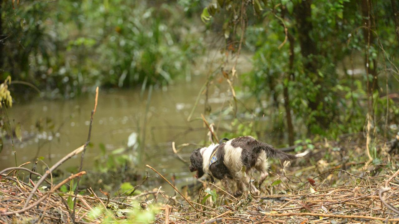 The cadaver search dog was deployed this week to help with the search.