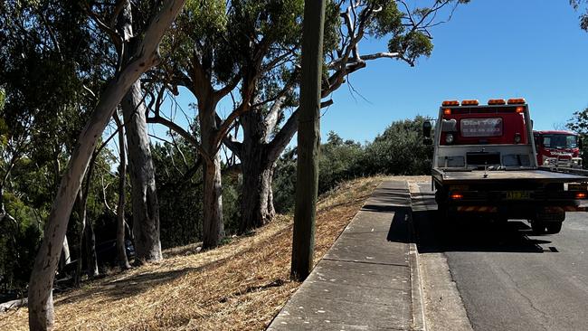 The steep embankment where the crash happened. Picture: Emma Brasier