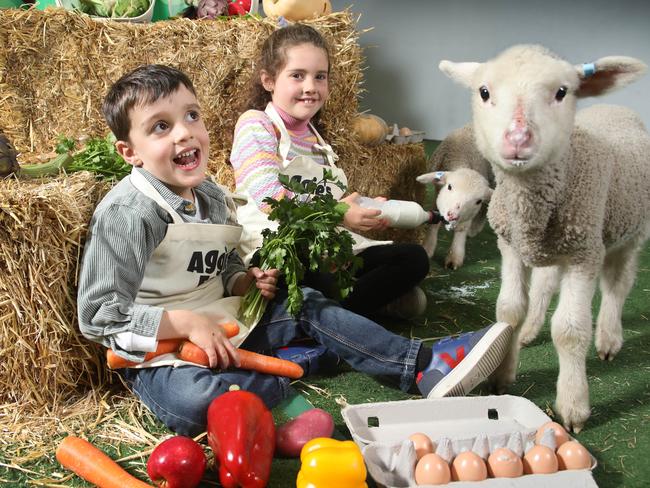 Royal Adelaide Show - Zara Coleiro,7, and her brother Hugo, 4, got to meet Lambs, Roy and Aggie, in the AggieÃ¢â¬â¢s farm area at the show. (Lauren Coleiro 0401956655) . 23 August 2023. Picture Dean Martin