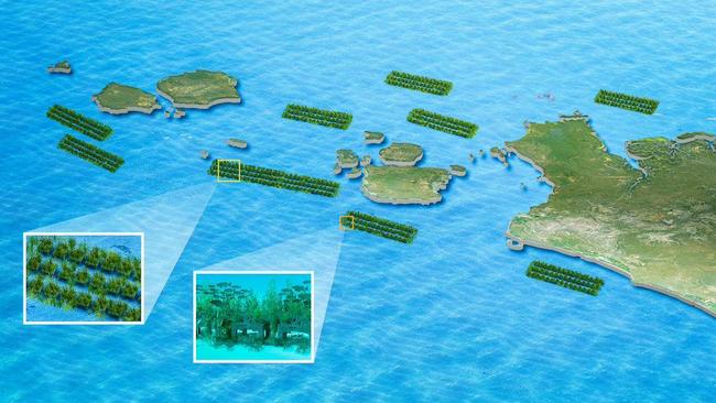 A rendered image released by HaejooX of its Cape York and Torres Strait Artificial Reef Program. Picture: Supplied.