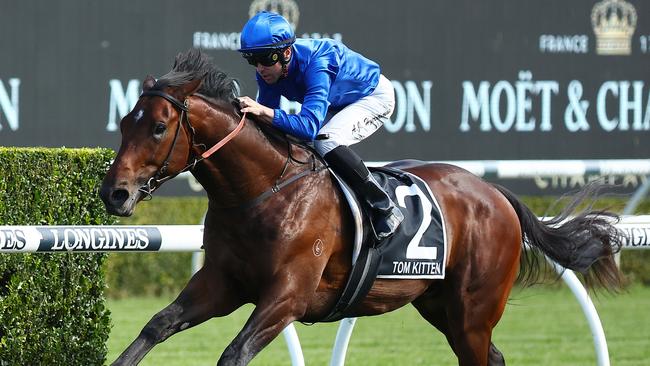 Group 1 Spring Champion Stakes winner Tom Kitten is now a gelding and ready to kick off his campaign with a win. Picture: Jeremy Ng/Getty Images