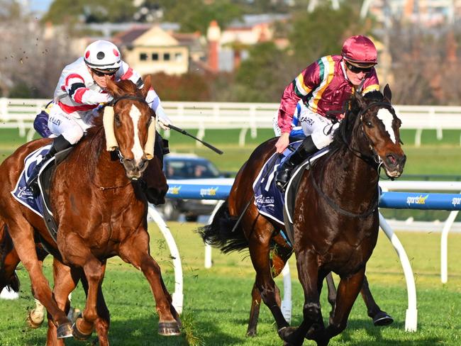 MELBOURNE, AUSTRALIA - AUGUST 17: Mark Zahra riding Gentleman Roy defeats Ben Allen riding Pinstriped and Pericles (r)  in Race 8, the Catanachs Jewellers P.b. Lawrence Stakes - Betting Odds during Melbourne Racing at Caulfield Racecourse on August 17, 2024 in Melbourne, Australia. (Photo by Vince Caligiuri/Getty Images)