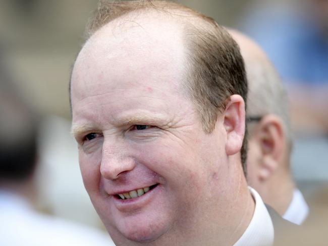 Trainer Gary Portelli wasn’t concerned by She Will Reign’s tardy start on Saturday.
