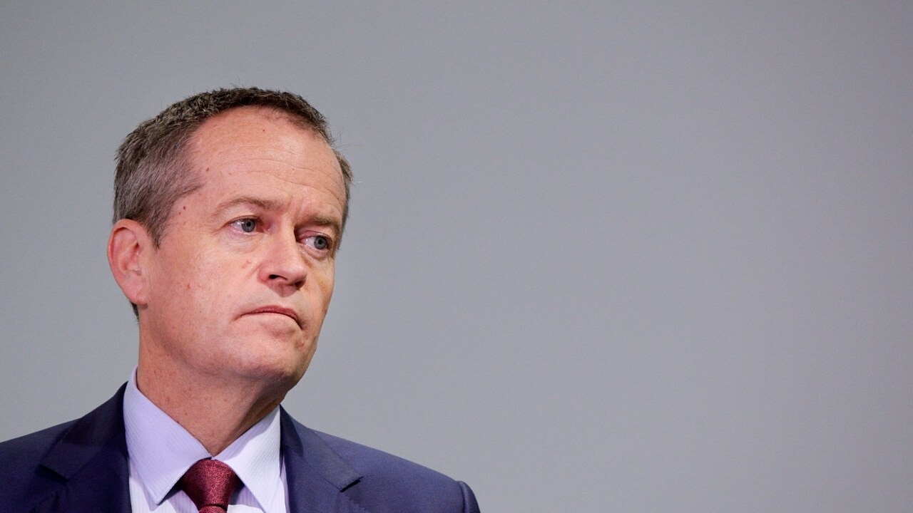 Data reveals Shorten's tax plan could be electorally-risky