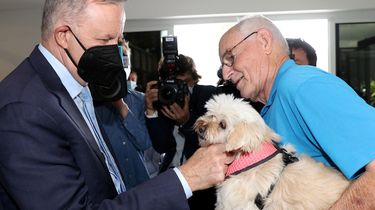 Patting Bella the Maltese Shih tzu cross held by Bill Kellett. Picture: Toby Zerna