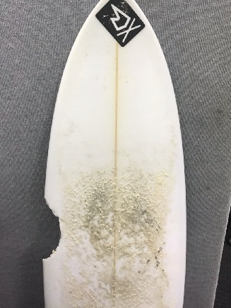 The shark took a bite out of the surfboard.