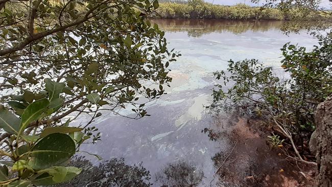 What looks like an oil slick on the surface of Belongil Creek has been confirmed to be marine blue green algae. Picture: Byron Shire Council