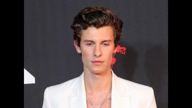 Shawn Mendes Has Learned To Accept And Welcome The Lows Of Life Herald Sun 5078