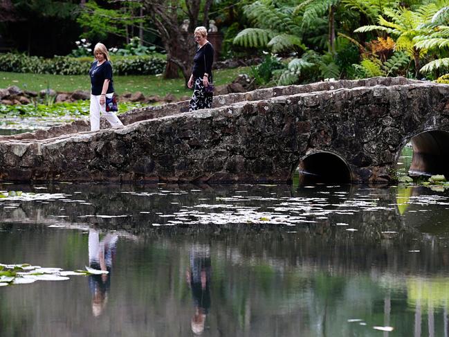 25/9/12 Best of Queensland. Tamborine Mountain Botanic Gardens. Chris Davison wanders over the bridge with a friend. Pics Adam Head