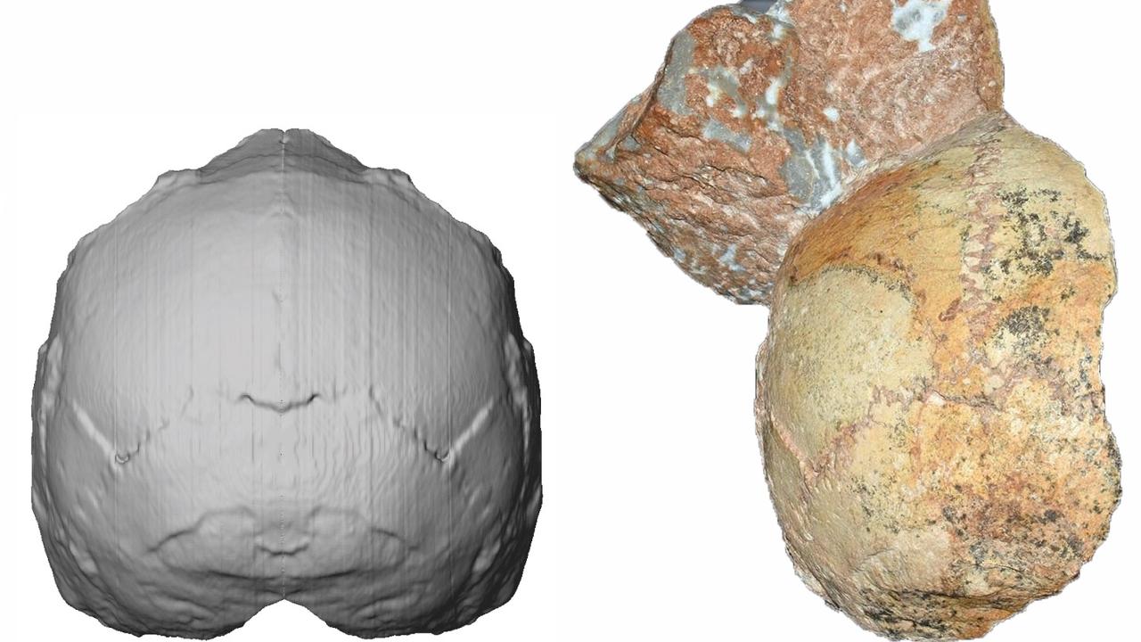 The skull, named Apidima 1, was discovered in a Greek cave, and was determined to belong to a Homo Sapien. Picture: AFP