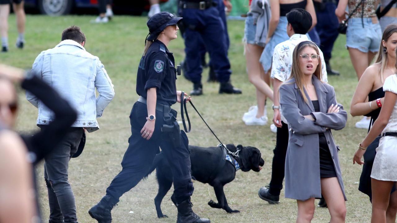 The inquest was critical of heavy-handed policing at music festivals, including the use of sniffer dogs. Picture: Damian Shaw