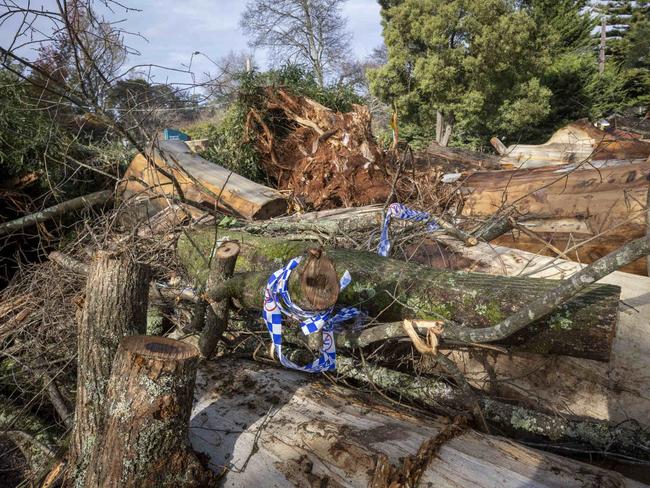 Wild weather wreaked havoc in Kalorama in the Dandenong ranges during last week’s storms. Picture: Wayne Taylor / NCA NewsWire