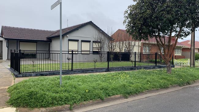 Soursobs are the main feature of this neglected verge on Hammond Rd, Findon. Photo: Caleb Bond