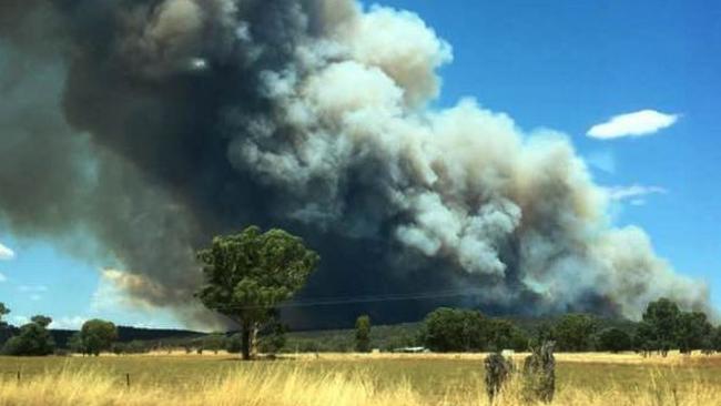 A fire rages at Leadville, east of Dubbo. Picture: Kimba Thomas.