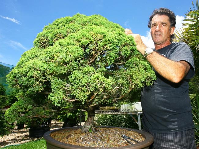 Red Dragon Bonsai owner Chris White pictured with his trees which are perfect small garden options.