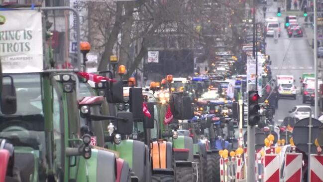 Tractors descend on Brussels over nitrogen emissions