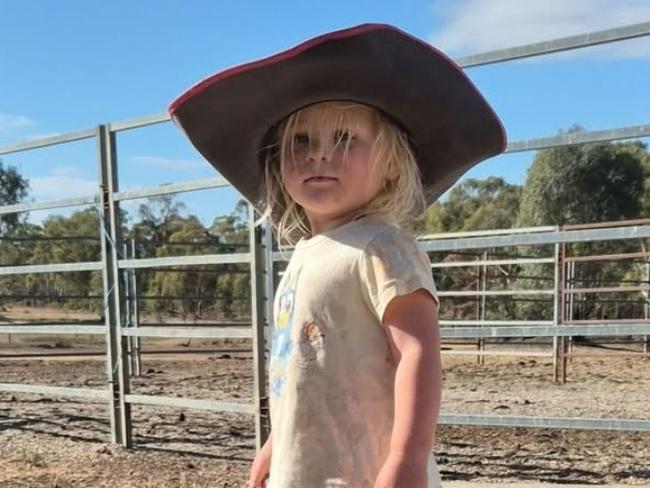 Aleece Shearer posted a picture of her daughter Mackenzie 2yo who drowned on a property in Whroo, near Nagambie, on Sunday.