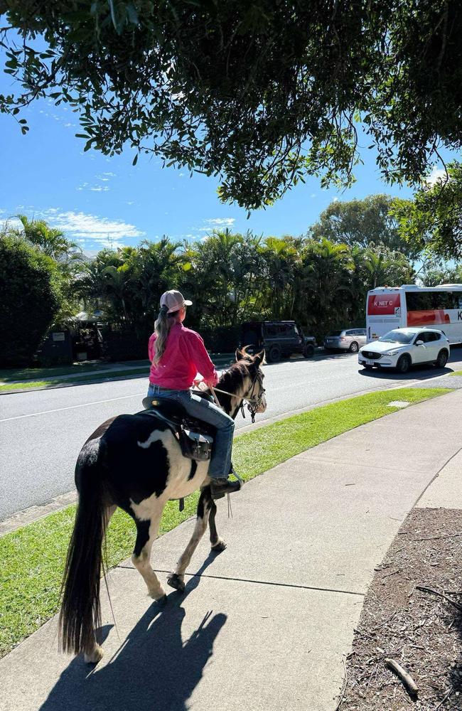 Horses at Coolum Maccas