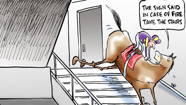 Macca is fired about his Melbourne Cup selection. Picture: Herald Sun