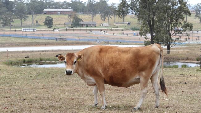 Places such as Schofields and Box Hill are transforming from semi rural communities to higher density suburbs.