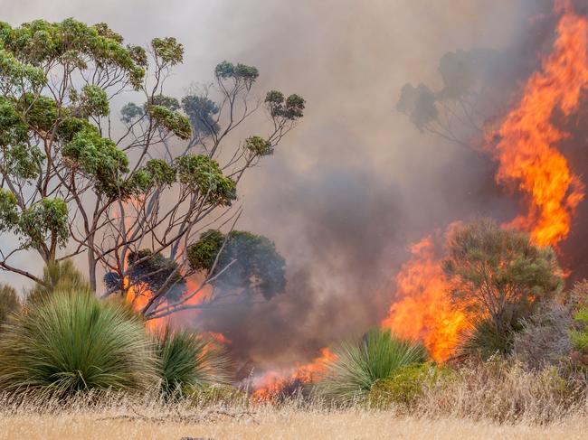 When will SA’s bushfire season start?