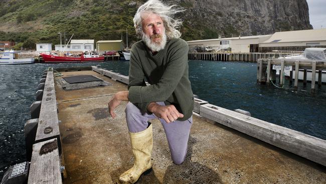 Tasmanian independent Senate candidate Craig Garland. PICTURE CHRIS KIDD