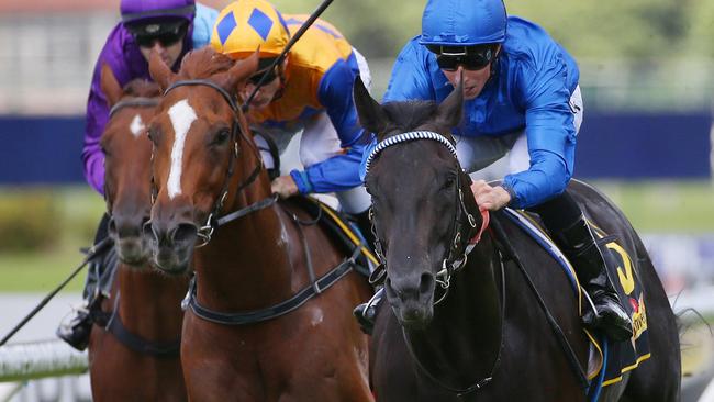 Spectroscope made a big impression on his Australian debut and will be hard to beat again on Saturday.